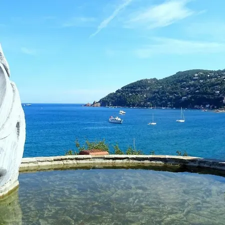 Le Concorde Viii Mandelieu